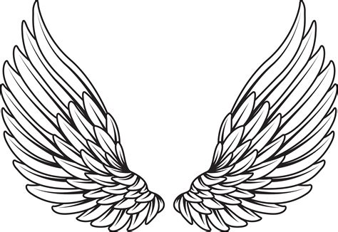 angel wings vector